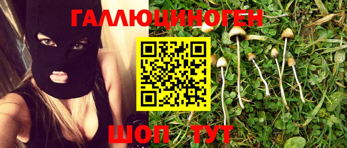 Галлюциногенные грибы мицелий  Галлюциногенные грибы GOLDEN TEACHER  Вход с VPN  Когалым 